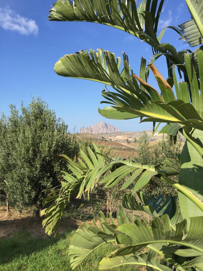 B&B Baglio Degli Ulivi Crocevie Dış mekan fotoğraf